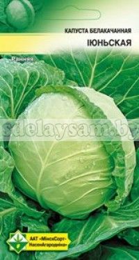 Капуста Июньская 