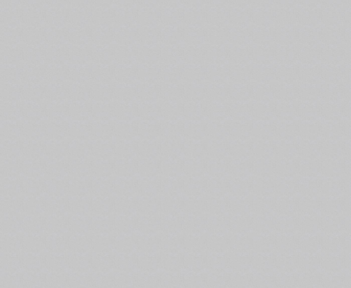 ЛДСП Ивацевичдрев 1500×400×18 мм, серый