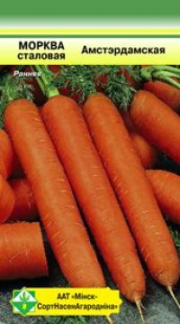 МинскСортСемОвощ семена моркови столовой Амстердамская, 1,5 г