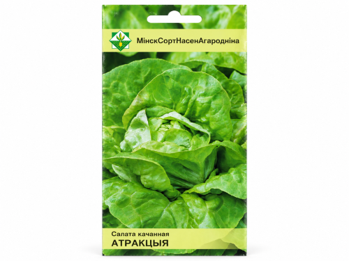 Семена кочанного салата МинскСортСемОвощ Атракция, 0,5 г
