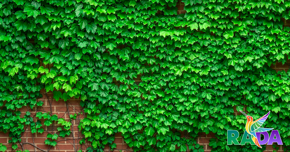 Фотосетка в наличии (цена за 1мп)