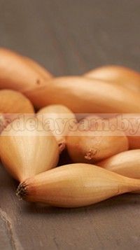 Лук-севок Бирнформиге (фасовка 200гр)