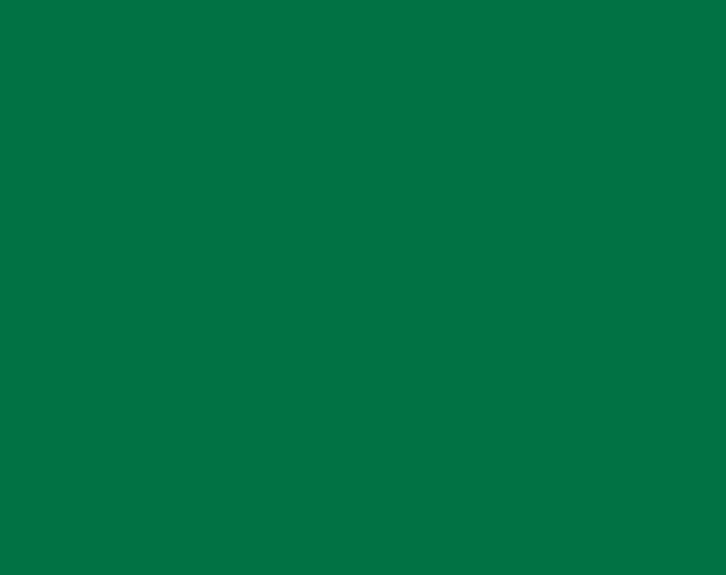 Мультиспрей Sniezka универсальный R6029 зеленый 400мл