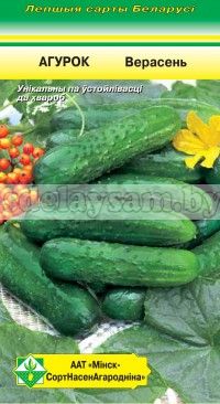 МинскСортСемОвощ семена огурца Верасень, 0,6 г