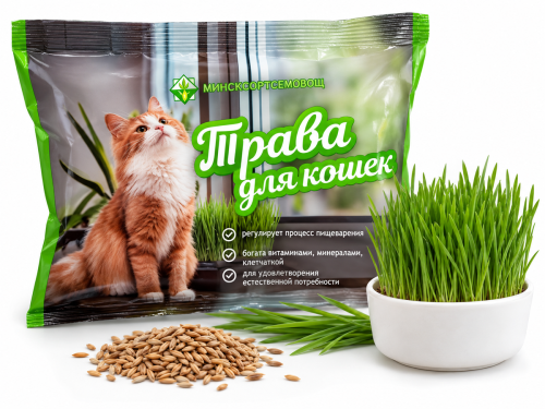 Трава для кошек, 0,1 кг