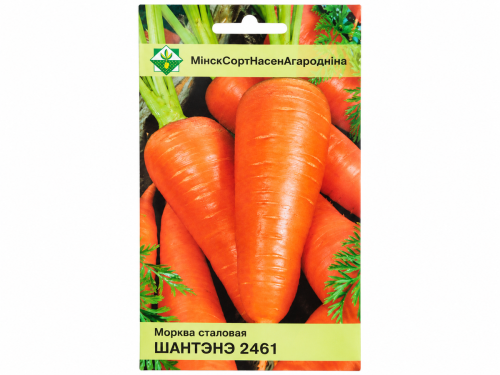 Семена моркови столовой МинскСортСемОвощ Шантенэ 2461, 1,5 г