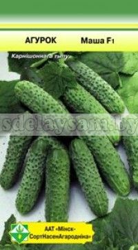 Огурцы Маша 