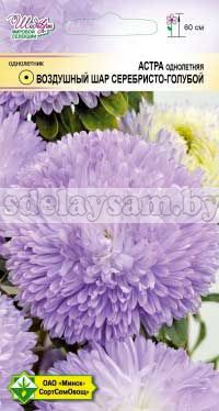 Астра Воздушный шар Серебристо-голубой