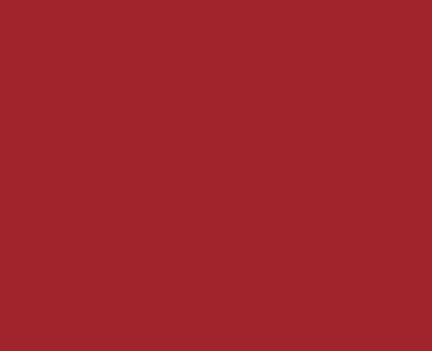 Эмаль-аэрозоль универсальная MAXI COLOR 3002MX  400мл (карминно-красный)