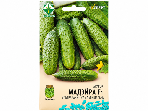 Семена огурца МинскСортСемОвощ Эксперт Мадейра F1, 5 шт.