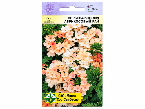 Семена вербены гибридной МинскСортСемОвощ Абрикосовый рай, 0,1 г