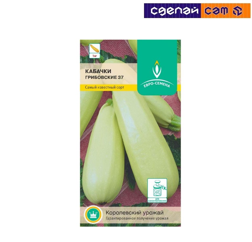 Кабачок Грибовские 37 цв/п 10 шт.