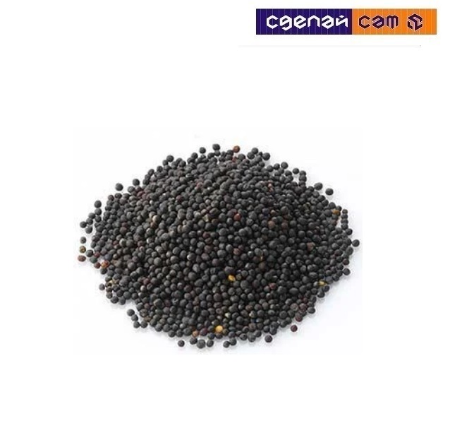 Рапс озимый Зенит  (0.5 кг)