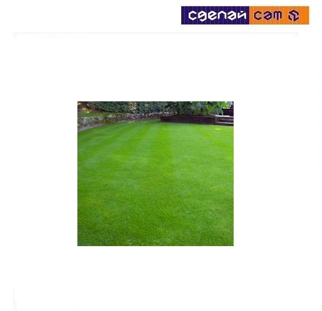 Полевица Кроми 0.15кг