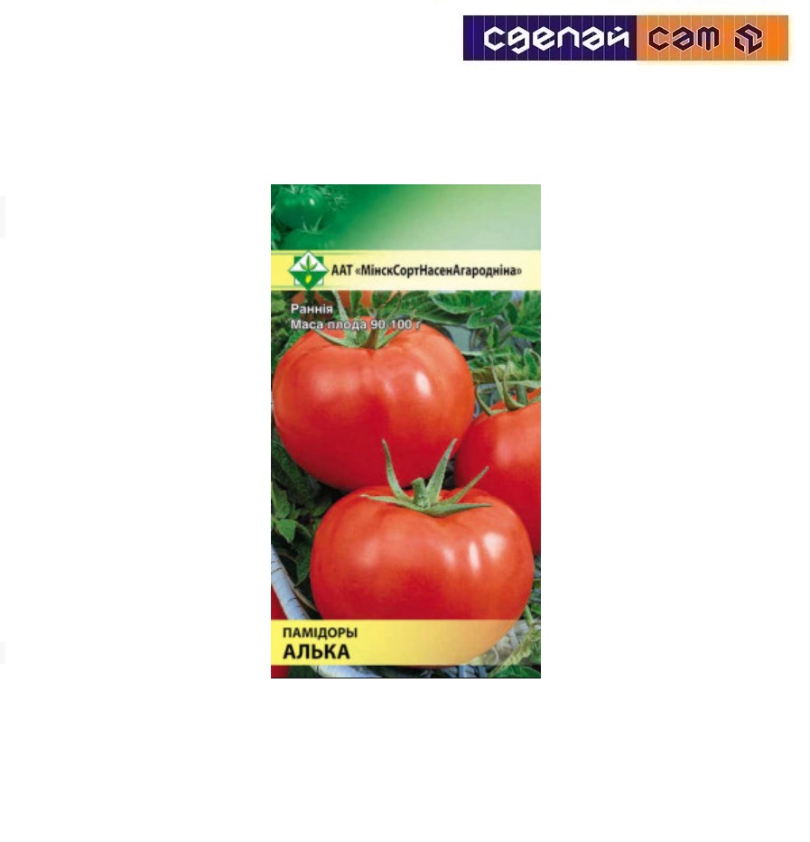 Помидоры Алька 
