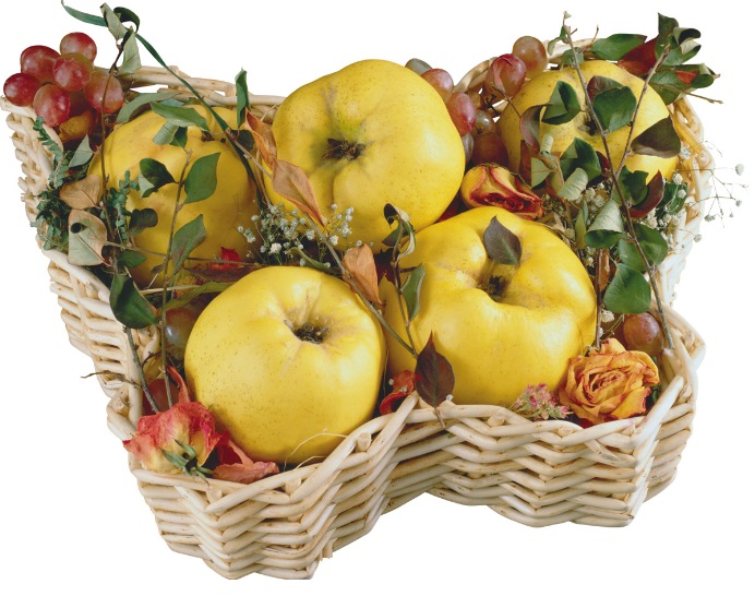 Фрукты, цветы