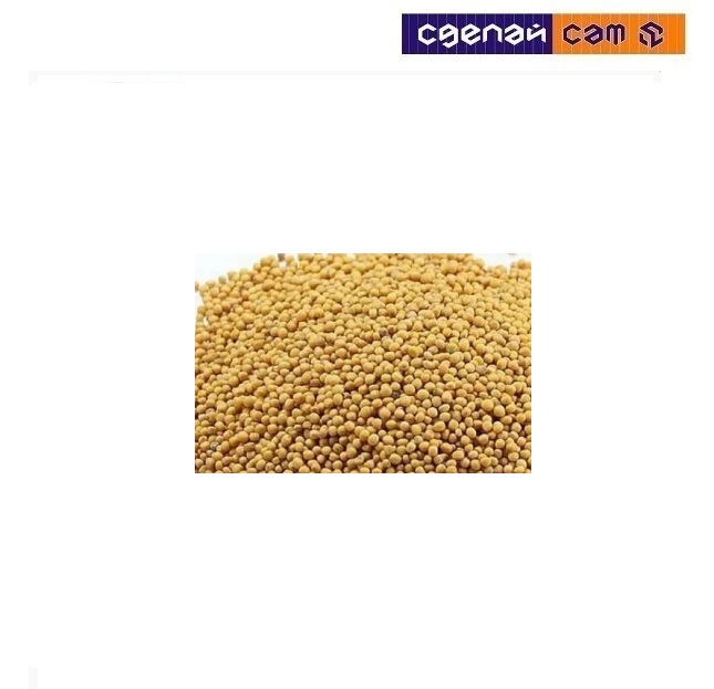 Семена горчицы белой Greenlab (1кг)