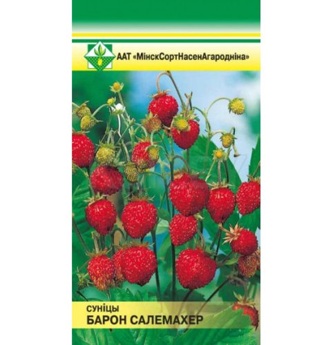 Земляника Барон Солемахер