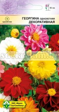 Георгина однолет Декоративная