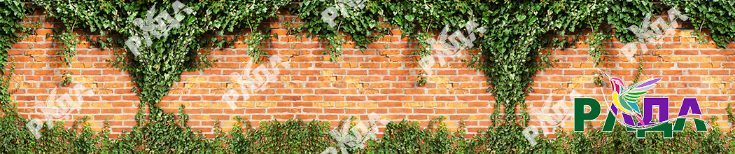 СЕТКА ВИНИЛОВАЯ (ПВХ) С ФОТОПЕЧАТЬЮ РАДА РУЛОННАЯ 1580 ММ Арт 018