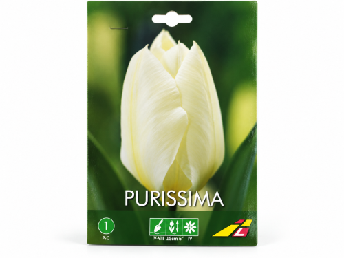 Тюльпан Purissima (Budget packs)