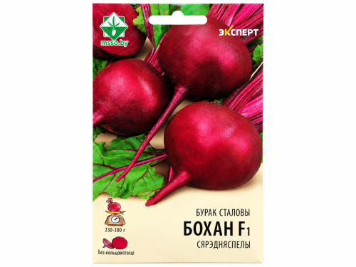 Семена свёклы столовой МинскСортСемОвощ Эксперт Бохан F1, 1,5 г