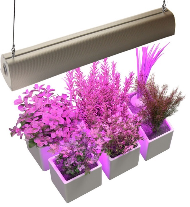 Фитосветильник