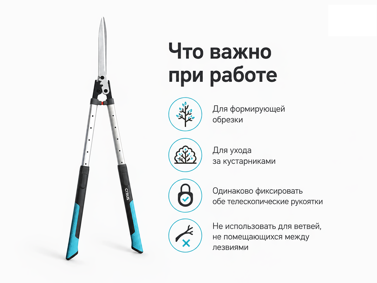 Cyrus ножницы телескопические для живой изгороди HCTS-2250 фото 2