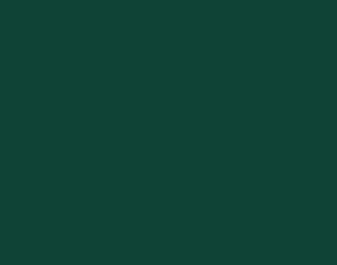 Мультиспрей Sniezka универсальный R6005  темно-зеленый 400мл