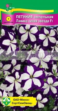 Петуния гибр ампельная Лавина синяя звезда