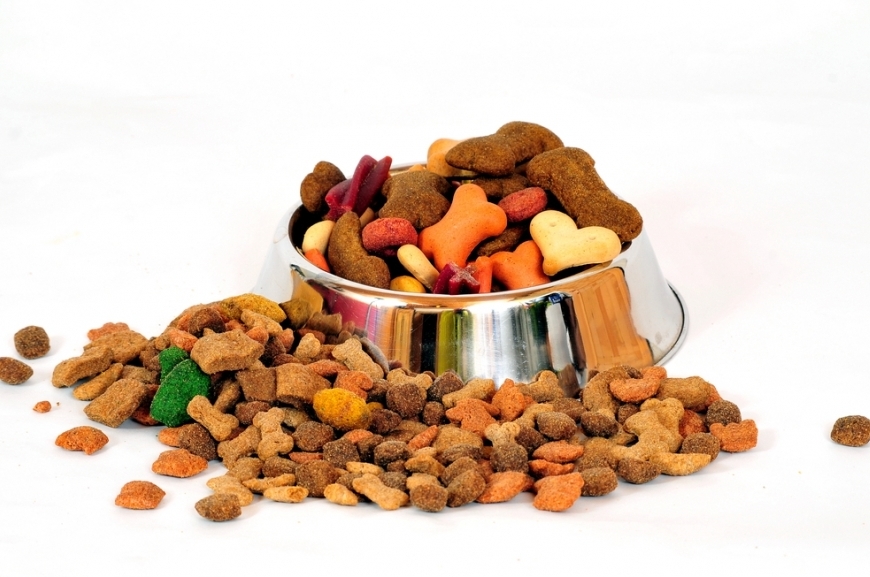 Корм для животных