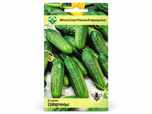 Семена огурца МинскСортСемОвощ Изящный, 0,6 г