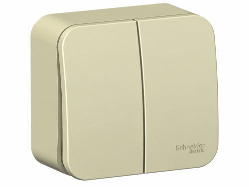 Systeme Electric выключатель двухклавишный Blanca BLNVA105017, открытая установка, 10 А