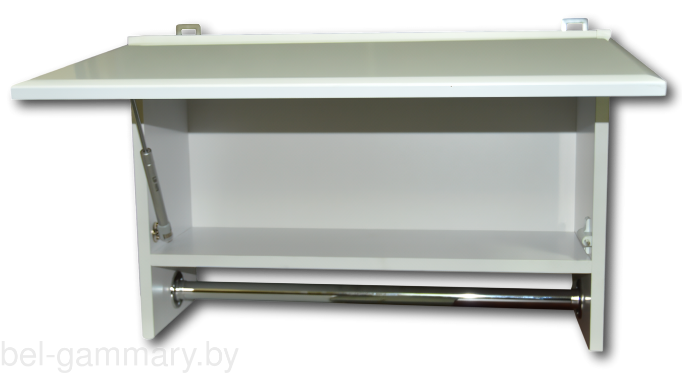 Шкаф настенный Гамма 42.06 Ф8/1