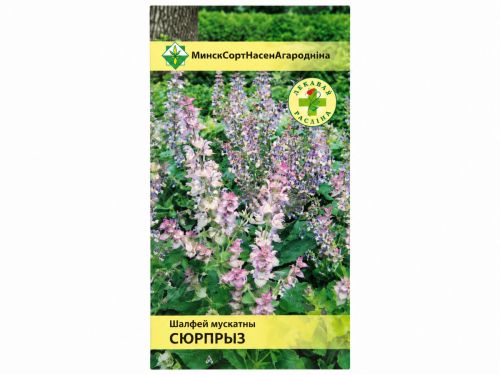 Семена шалфея мускатного МинскСортСемОвощ Сюрприз, 0,2 г