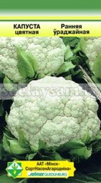 МинскСортСемОвощ семена капусты цветной Ранняя урожайная, 0,3 г