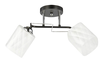 Светильник НПБ 02-2x60-101 6200/2 черный/хром