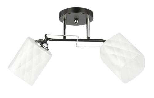 Светильник НПБ 02-2x60-101 6200/2 черный/хром