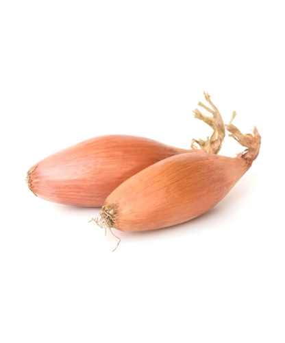 Лук севок Бирнформиге (10-21мм) (фасовка 200гр)