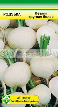 Редька Летняя круглая белая