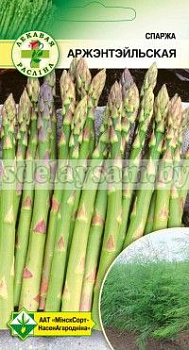 Спаржа Аржентейльская