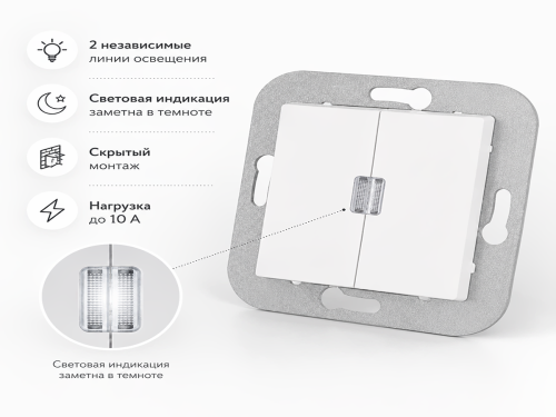 Выключатель С5 10-557 с индикацией