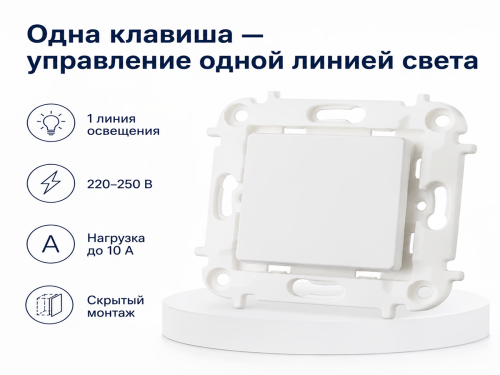Выключатель С1 10-3001