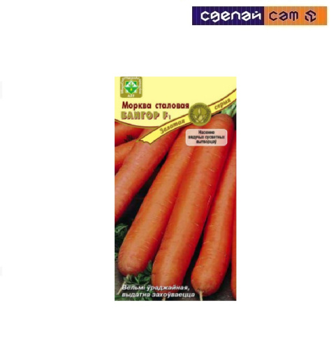 Морковь Бангор F1 столовая 