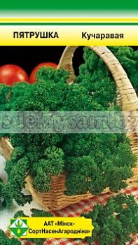 Петрушка Курчавая 