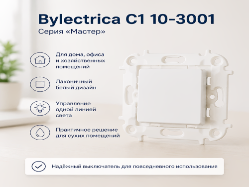 Выключатель С1 10-3001