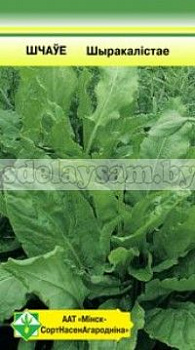 Щавель Широколистный