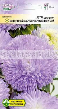 Астра Воздушный шар Серебристо-голубой