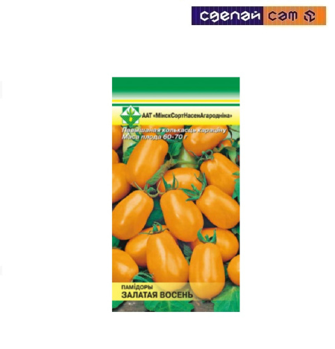 Помидоры Золотая осень