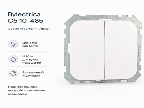 Выключатель С5 10-485